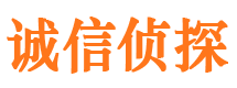 武川婚外情调查取证